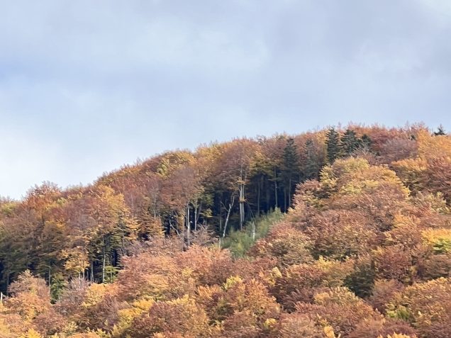 Піший похід гірськими маршрутами