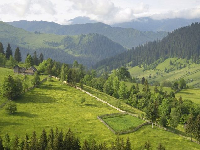 Тури в Карпати