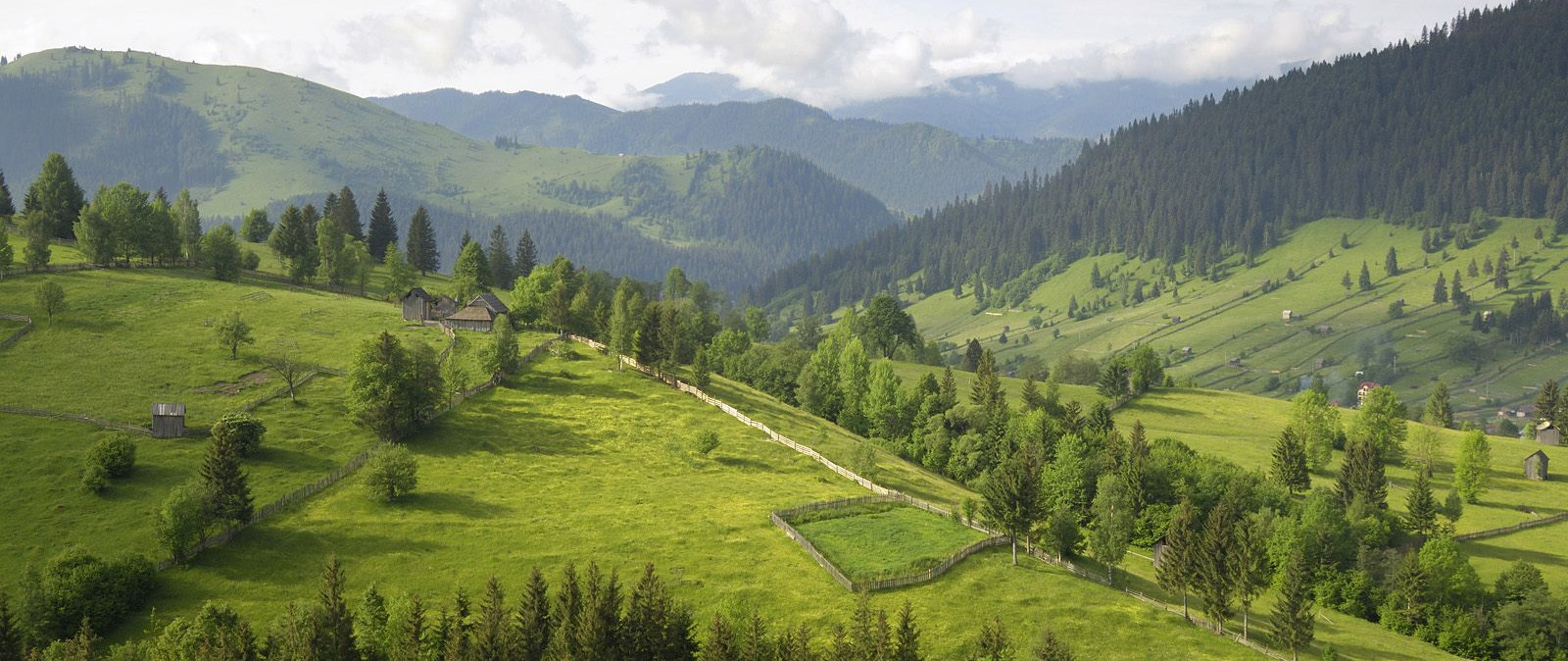 Тури в Карпати